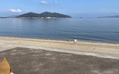 プールや海の季節、これは気をつけて！！