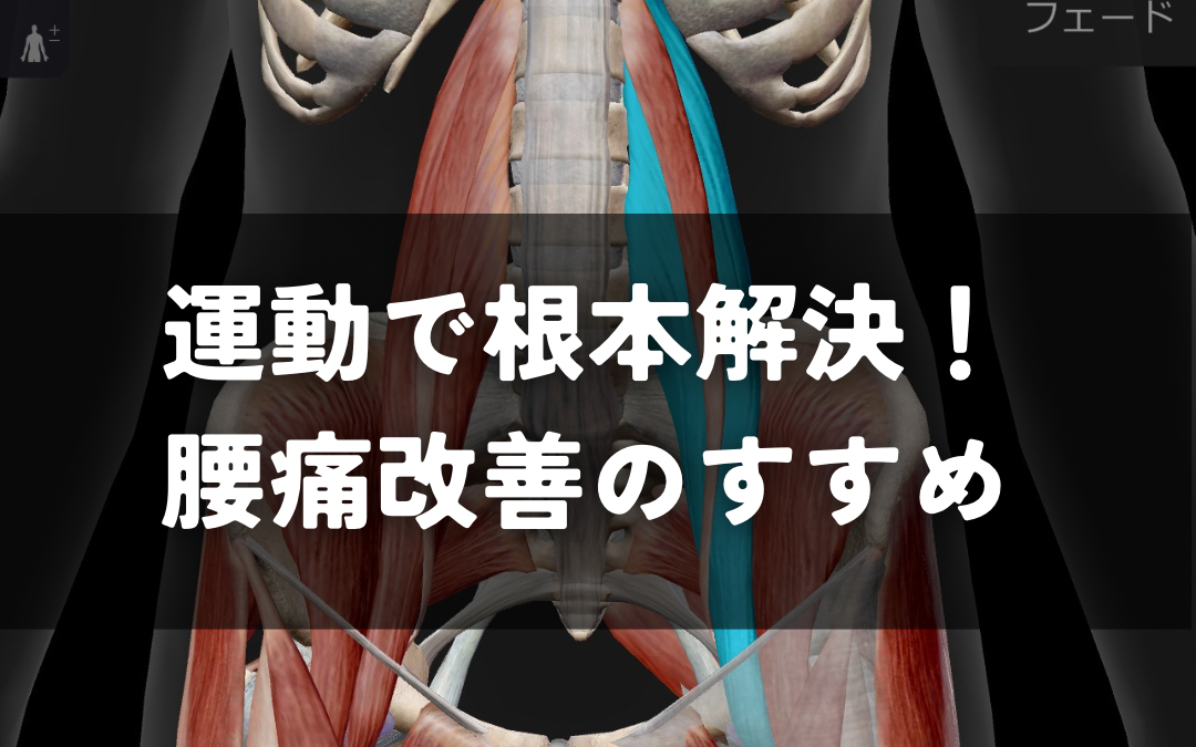 マッサージだけじゃない！運動で腰痛を根本改善